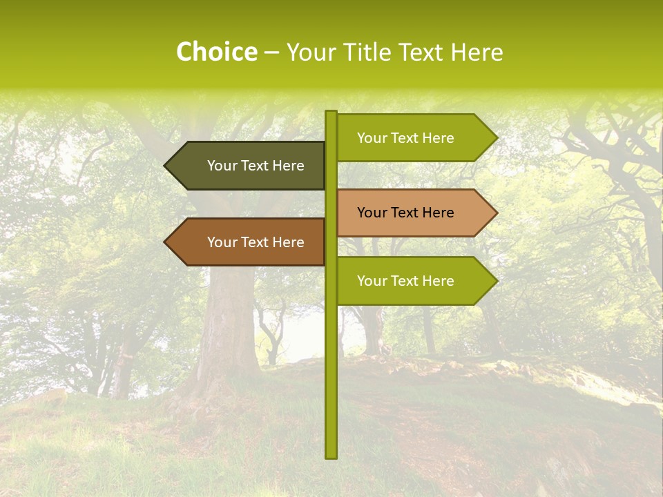 Beautiful Spring PowerPoint Template