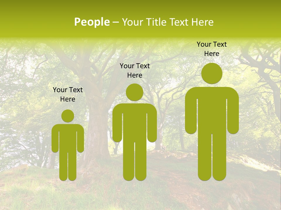 Beautiful Spring PowerPoint Template