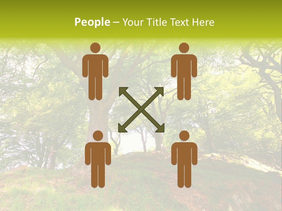 Beautiful Spring PowerPoint Template