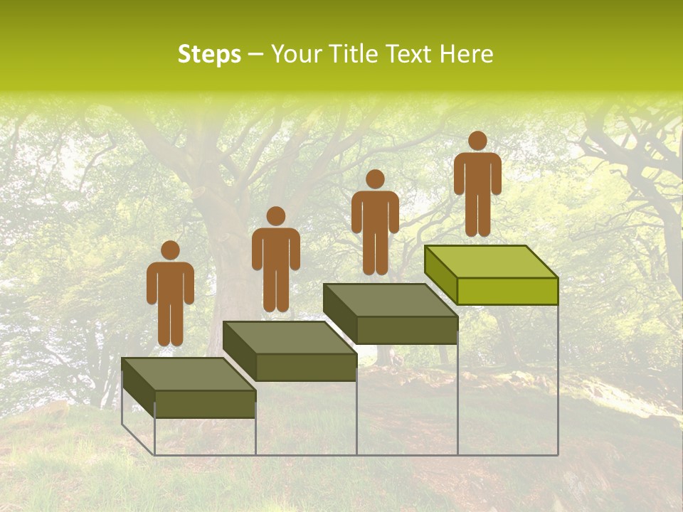 Beautiful Spring PowerPoint Template