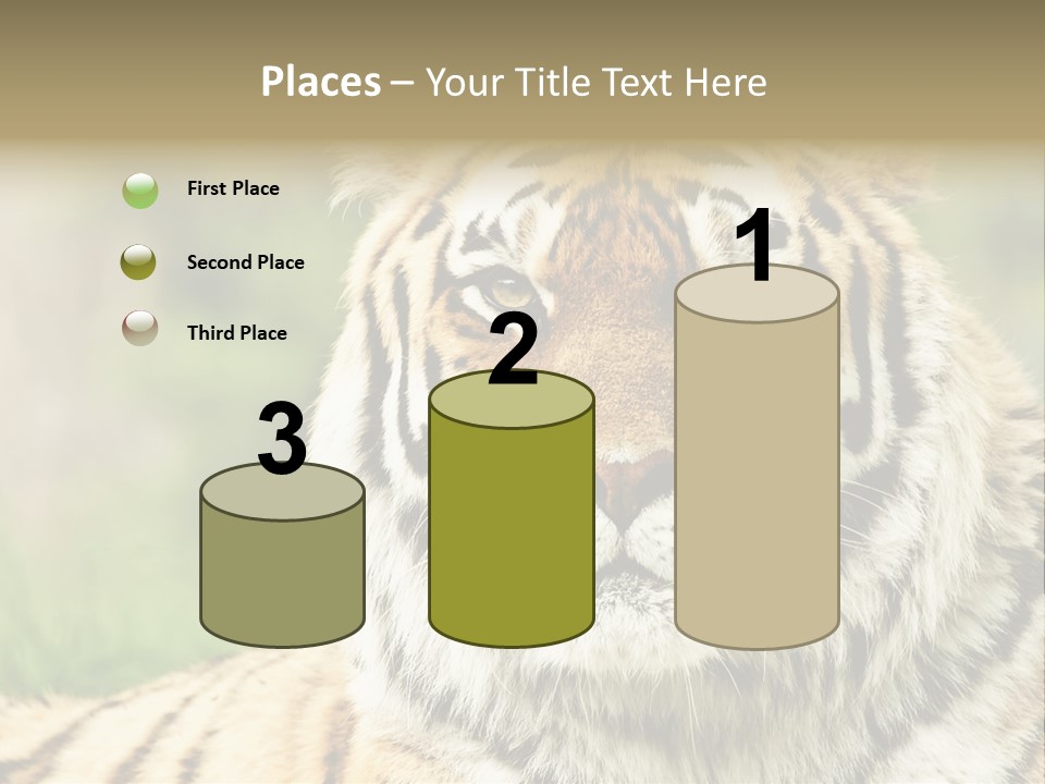 Paradise Park Broxbourne PowerPoint Template