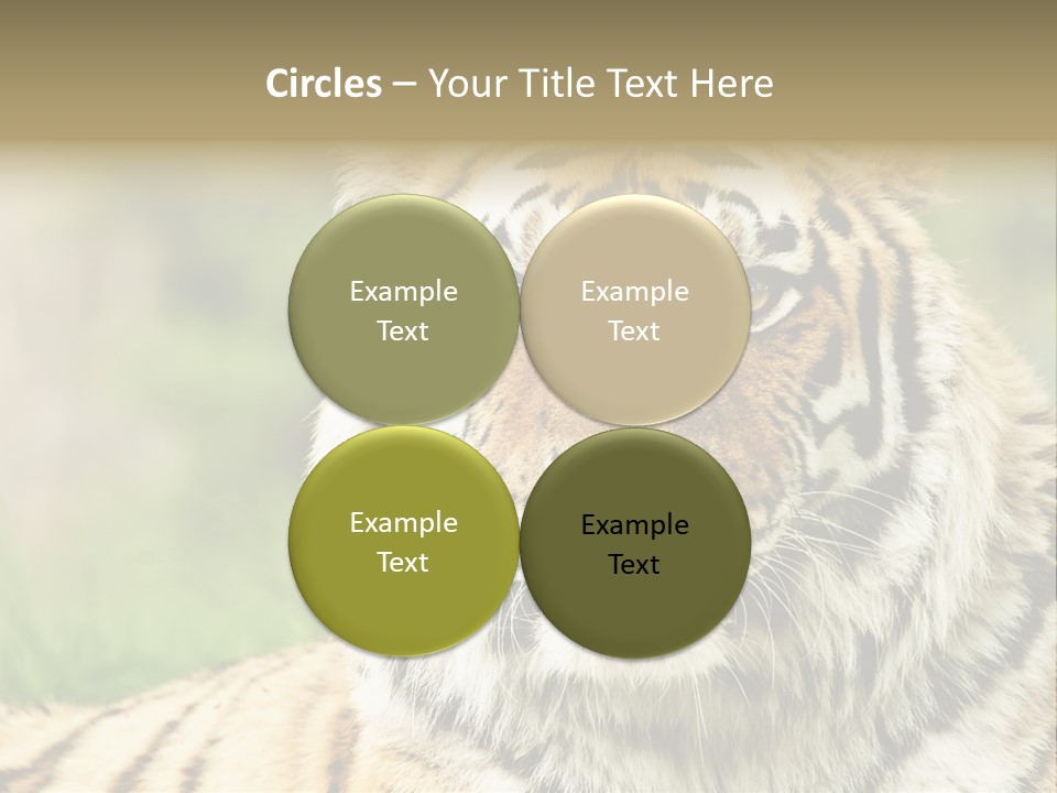 Paradise Park Broxbourne PowerPoint Template