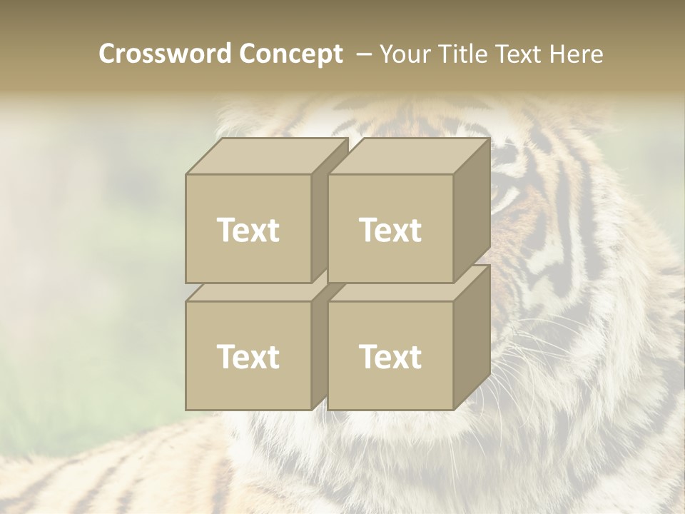 Paradise Park Broxbourne PowerPoint Template