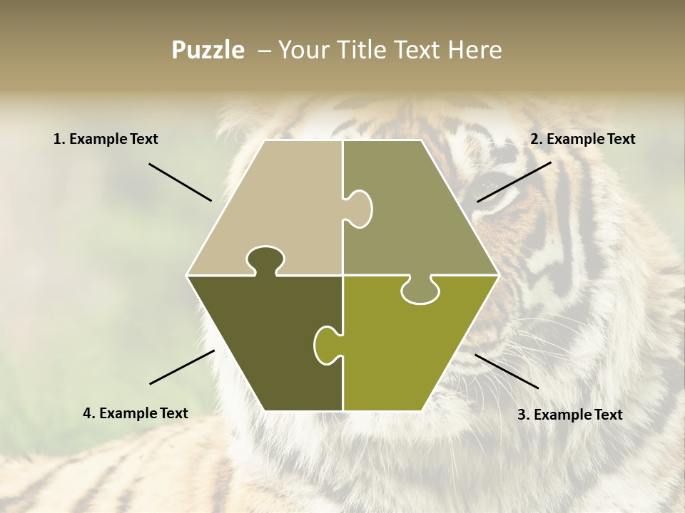 Paradise Park Broxbourne PowerPoint Template