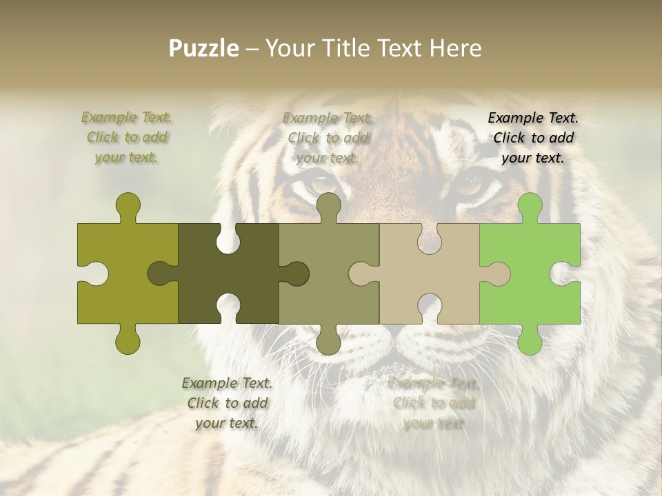 Paradise Park Broxbourne PowerPoint Template