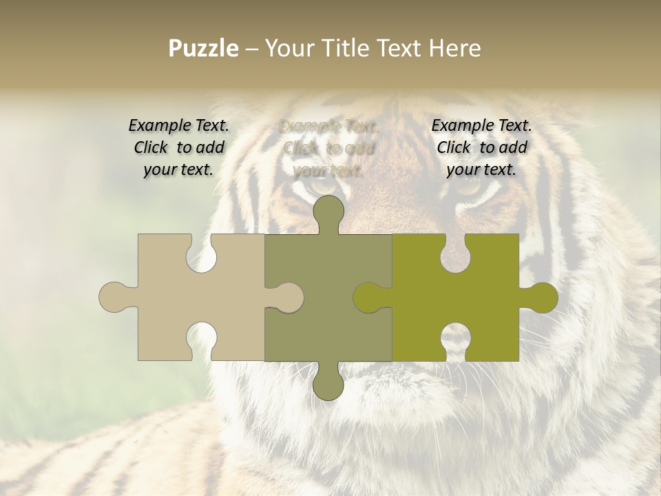 Paradise Park Broxbourne PowerPoint Template