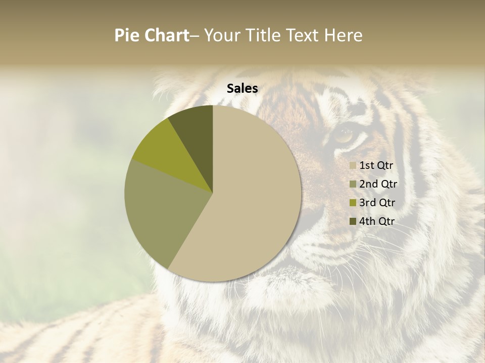 Paradise Park Broxbourne PowerPoint Template