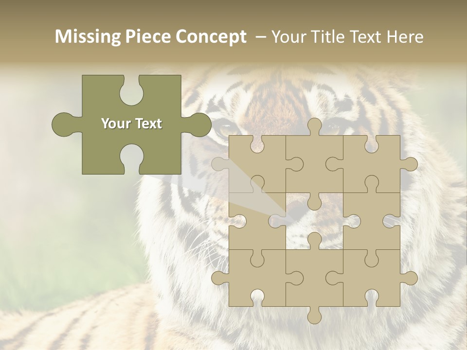 Paradise Park Broxbourne PowerPoint Template