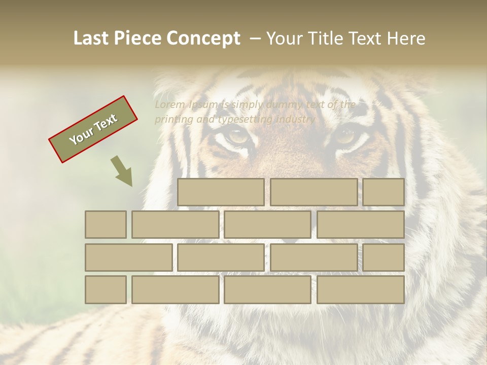 Paradise Park Broxbourne PowerPoint Template