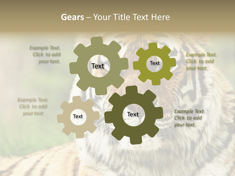 Paradise Park Broxbourne PowerPoint Template