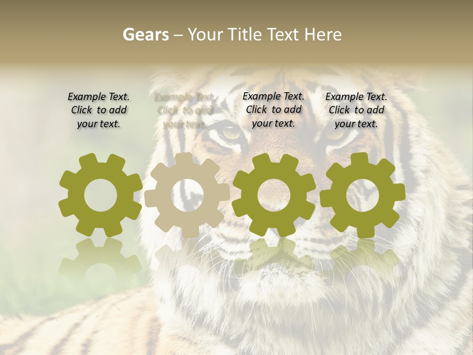 Paradise Park Broxbourne PowerPoint Template