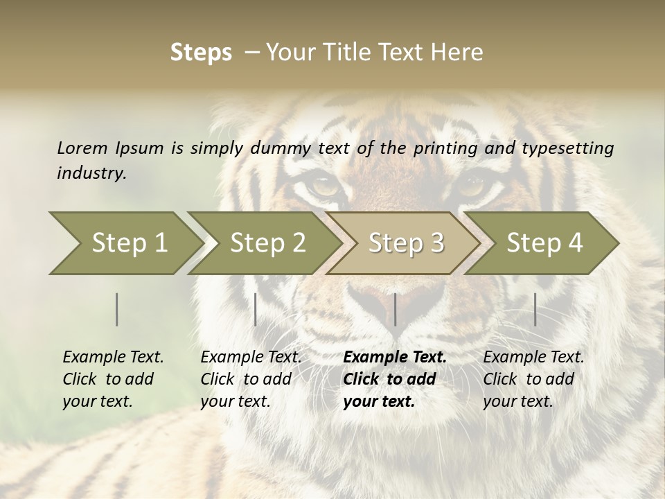 Paradise Park Broxbourne PowerPoint Template