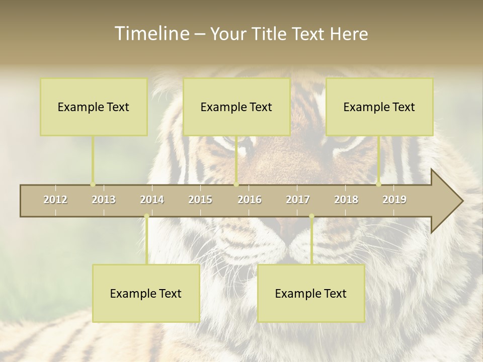 Paradise Park Broxbourne PowerPoint Template