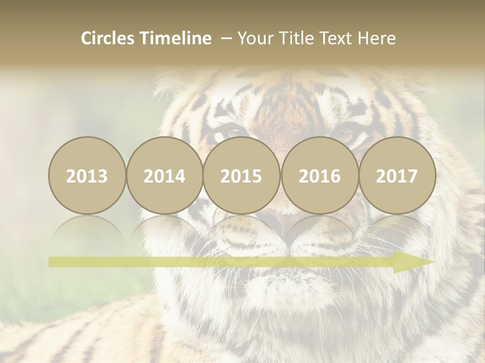 Paradise Park Broxbourne PowerPoint Template