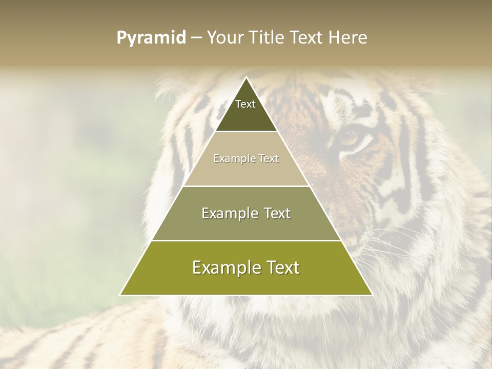 Paradise Park Broxbourne PowerPoint Template