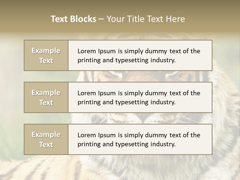 Paradise Park Broxbourne PowerPoint Template