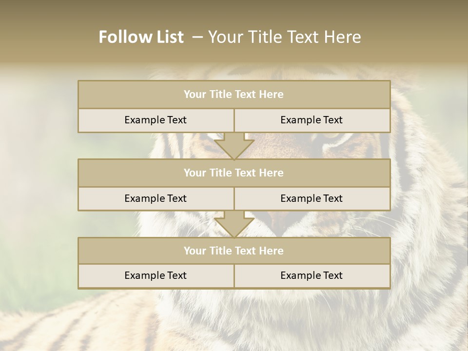 Paradise Park Broxbourne PowerPoint Template