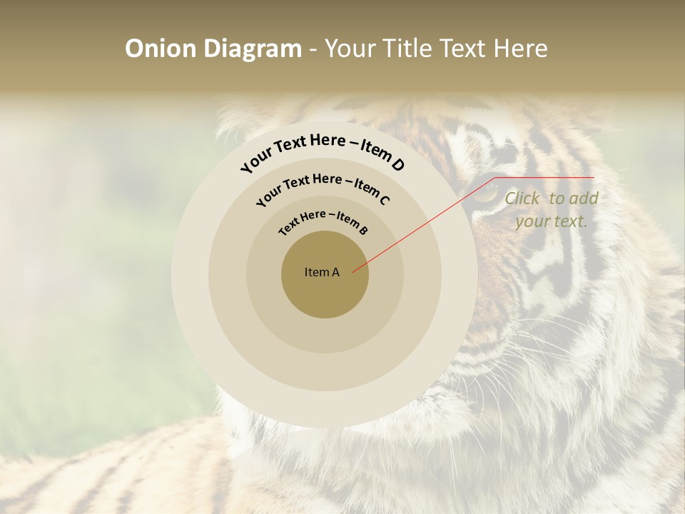 Paradise Park Broxbourne PowerPoint Template