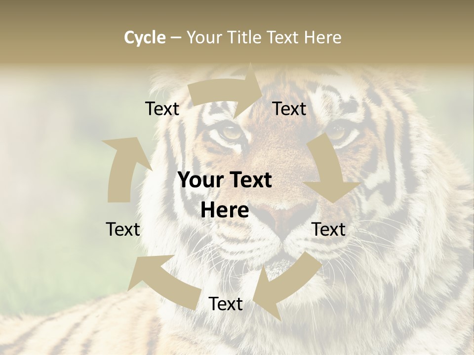 Paradise Park Broxbourne PowerPoint Template