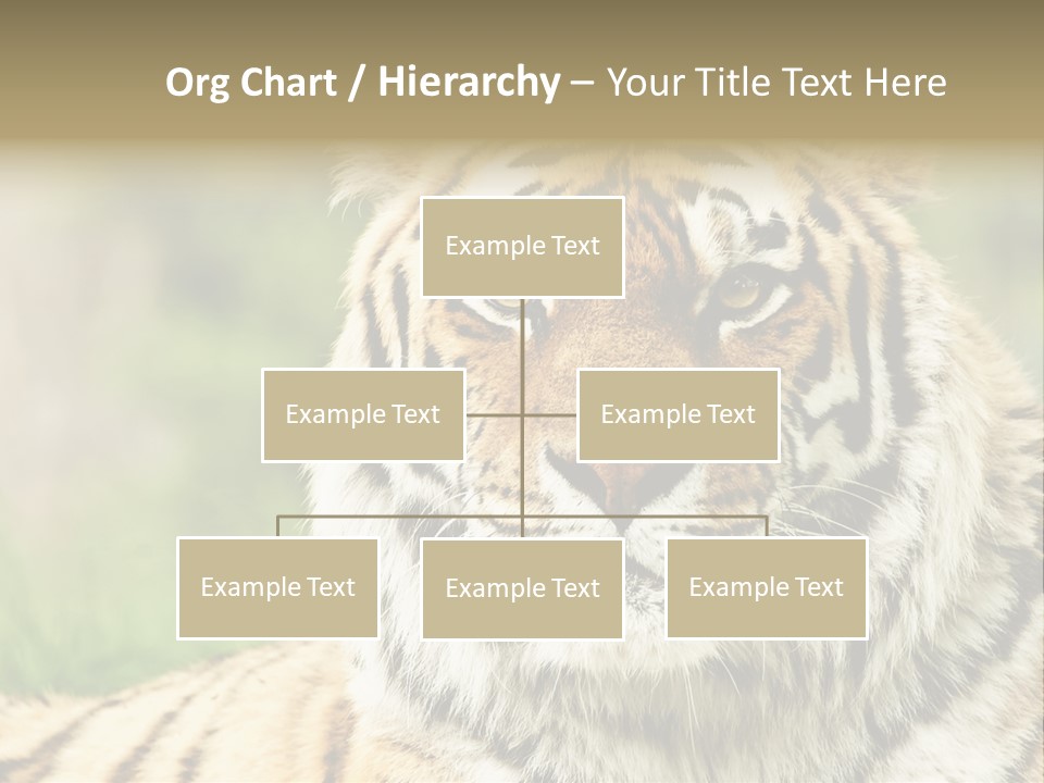 Paradise Park Broxbourne PowerPoint Template