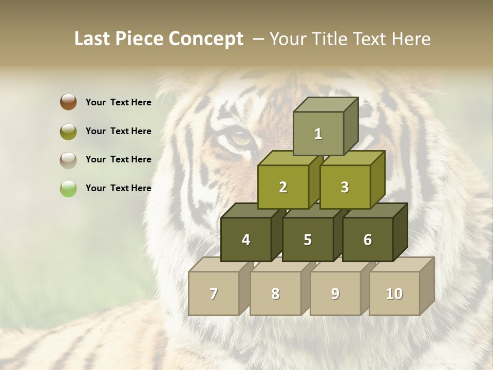 Paradise Park Broxbourne PowerPoint Template