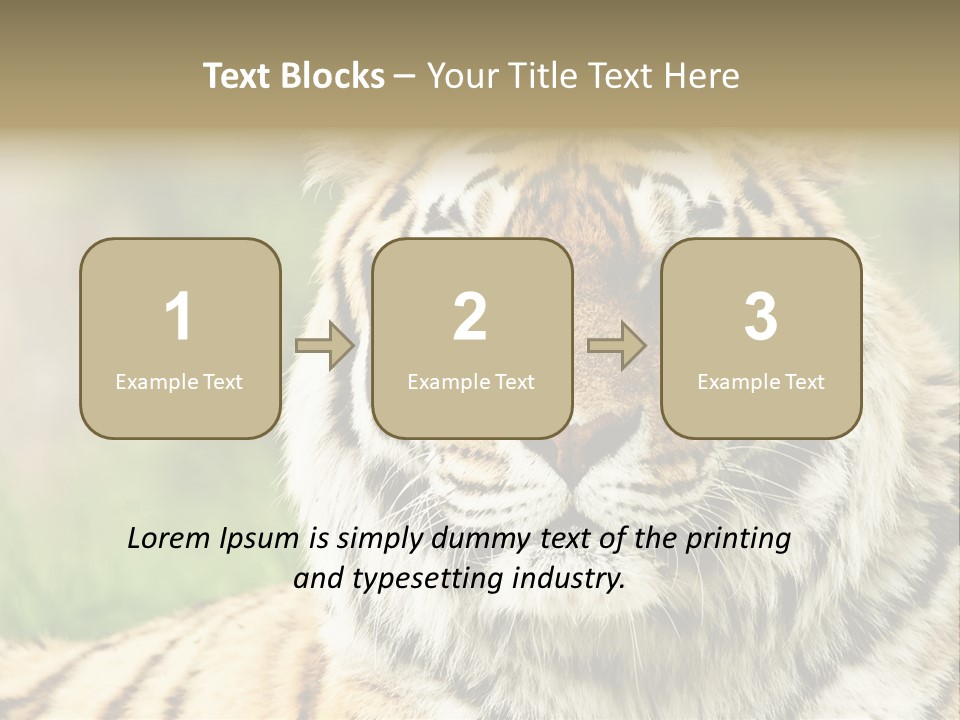Paradise Park Broxbourne PowerPoint Template