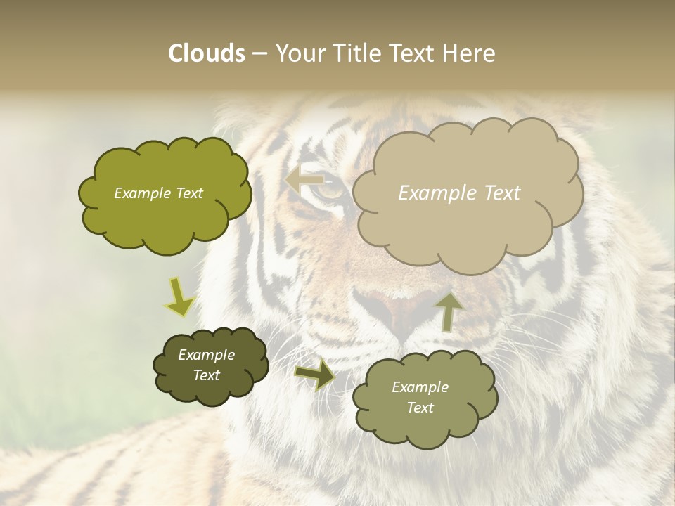 Paradise Park Broxbourne PowerPoint Template