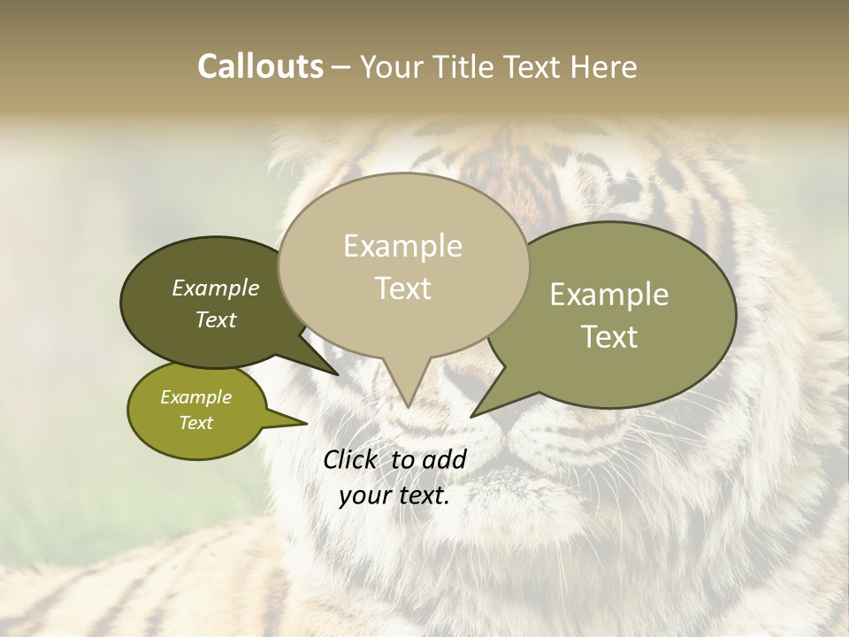 Paradise Park Broxbourne PowerPoint Template