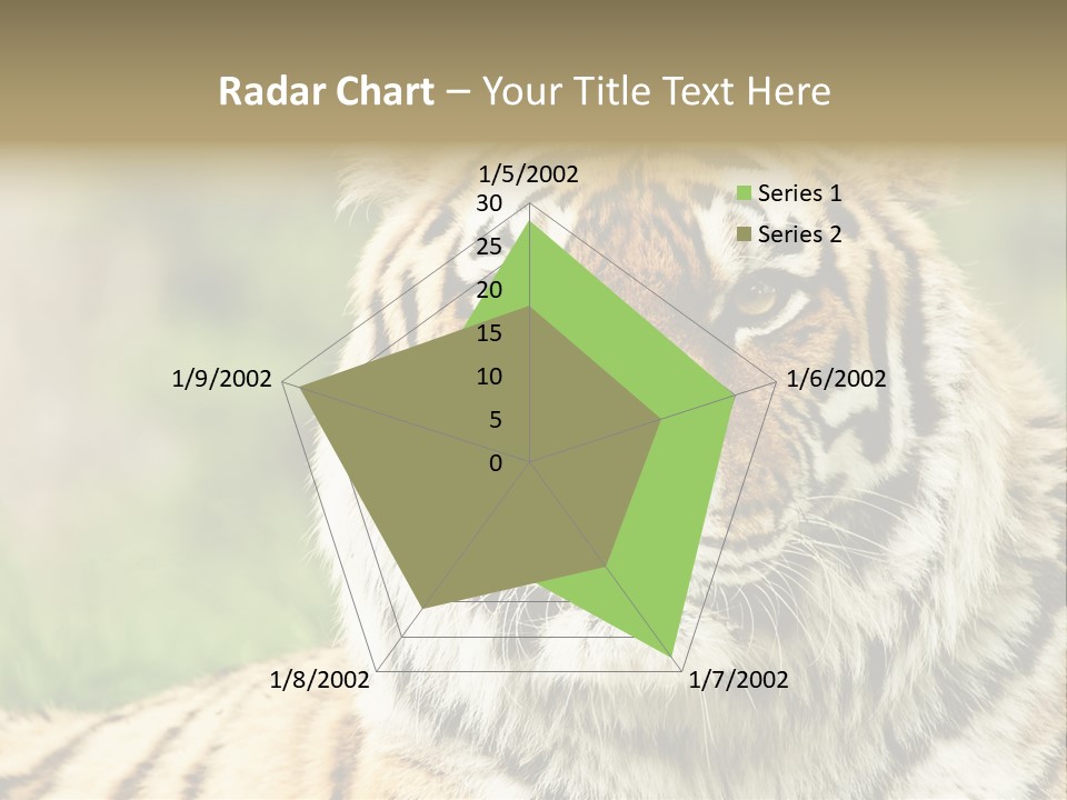Paradise Park Broxbourne PowerPoint Template