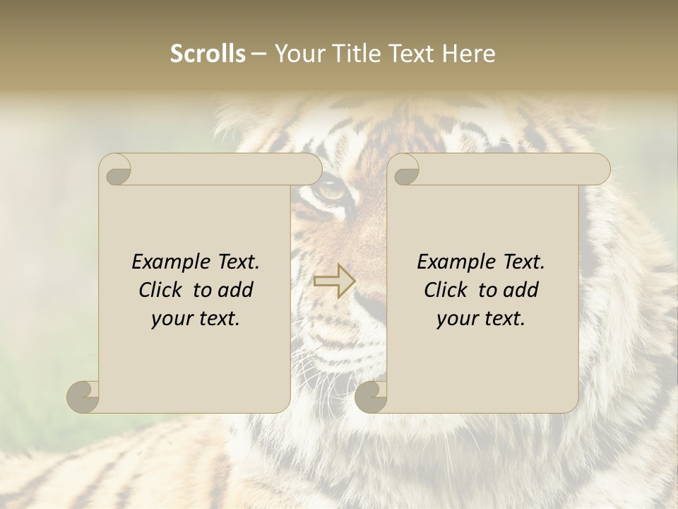 Paradise Park Broxbourne PowerPoint Template