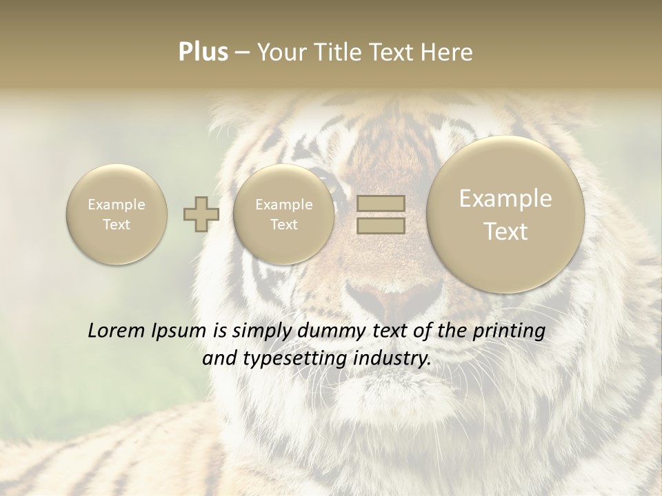 Paradise Park Broxbourne PowerPoint Template