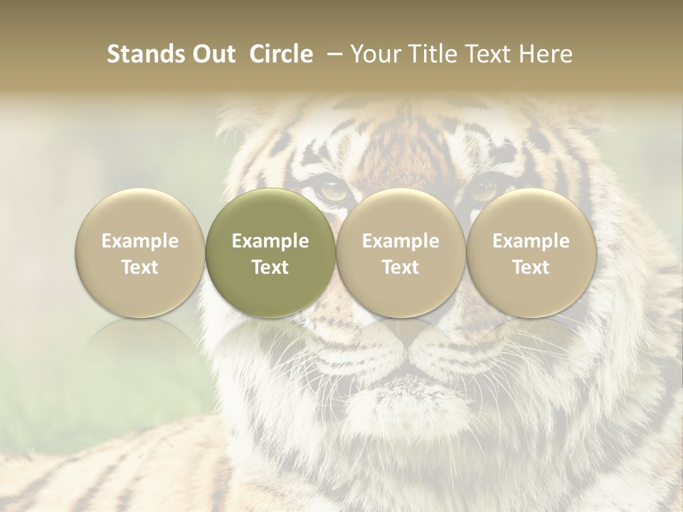 Paradise Park Broxbourne PowerPoint Template