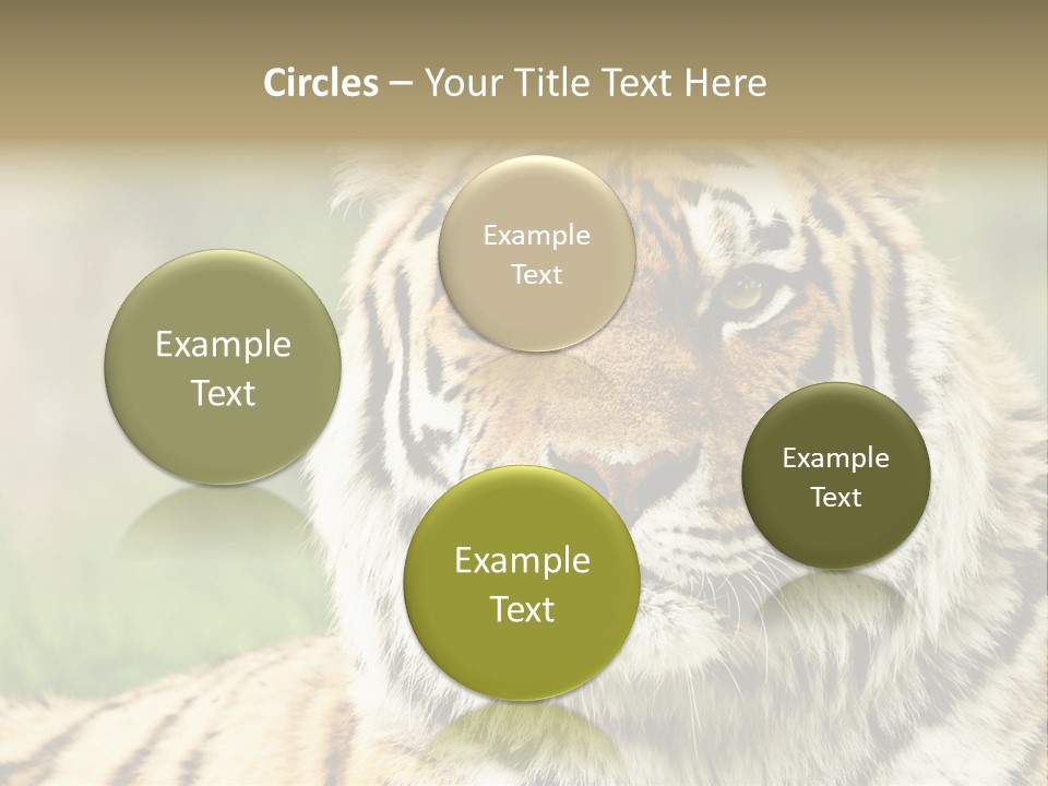 Paradise Park Broxbourne PowerPoint Template