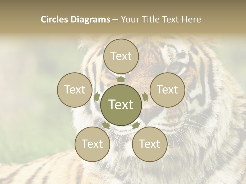 Paradise Park Broxbourne PowerPoint Template