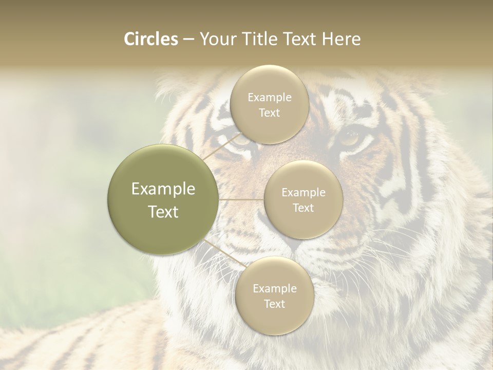 Paradise Park Broxbourne PowerPoint Template