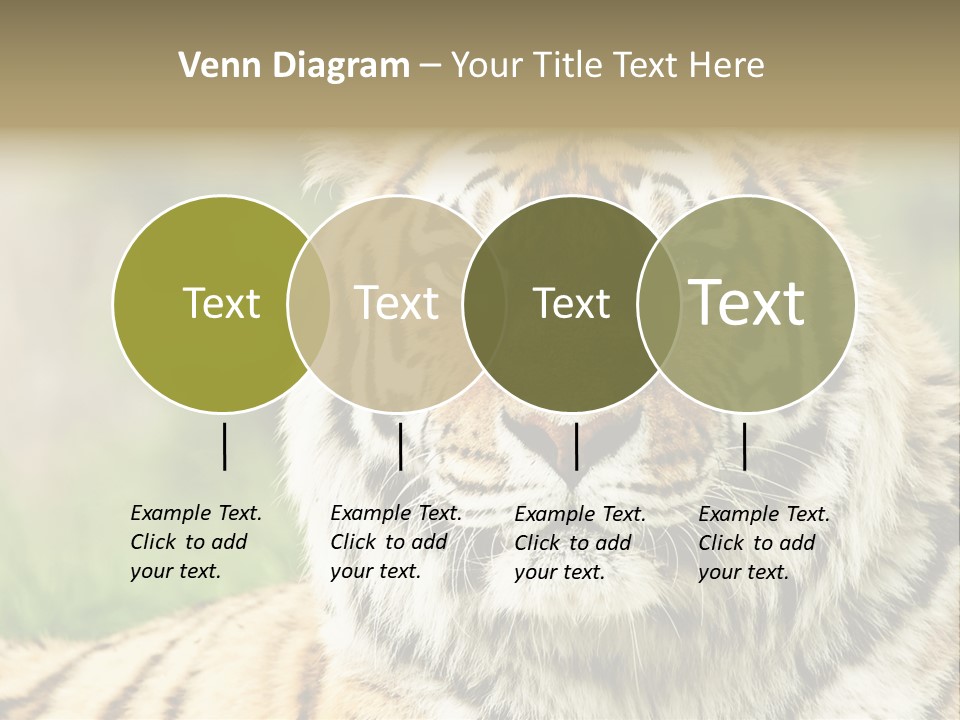 Paradise Park Broxbourne PowerPoint Template