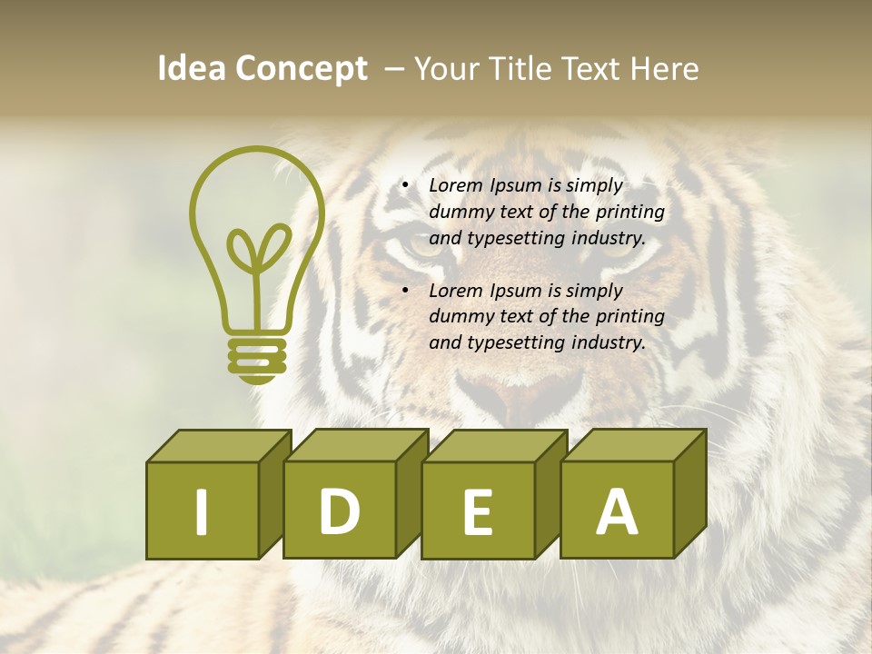 Paradise Park Broxbourne PowerPoint Template