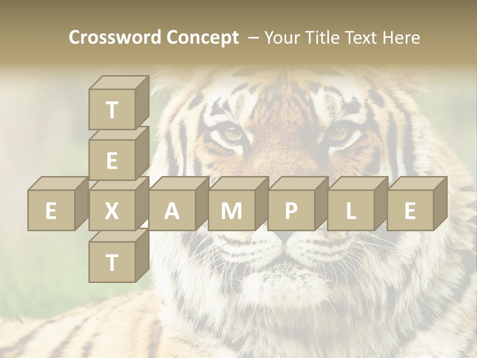 Paradise Park Broxbourne PowerPoint Template