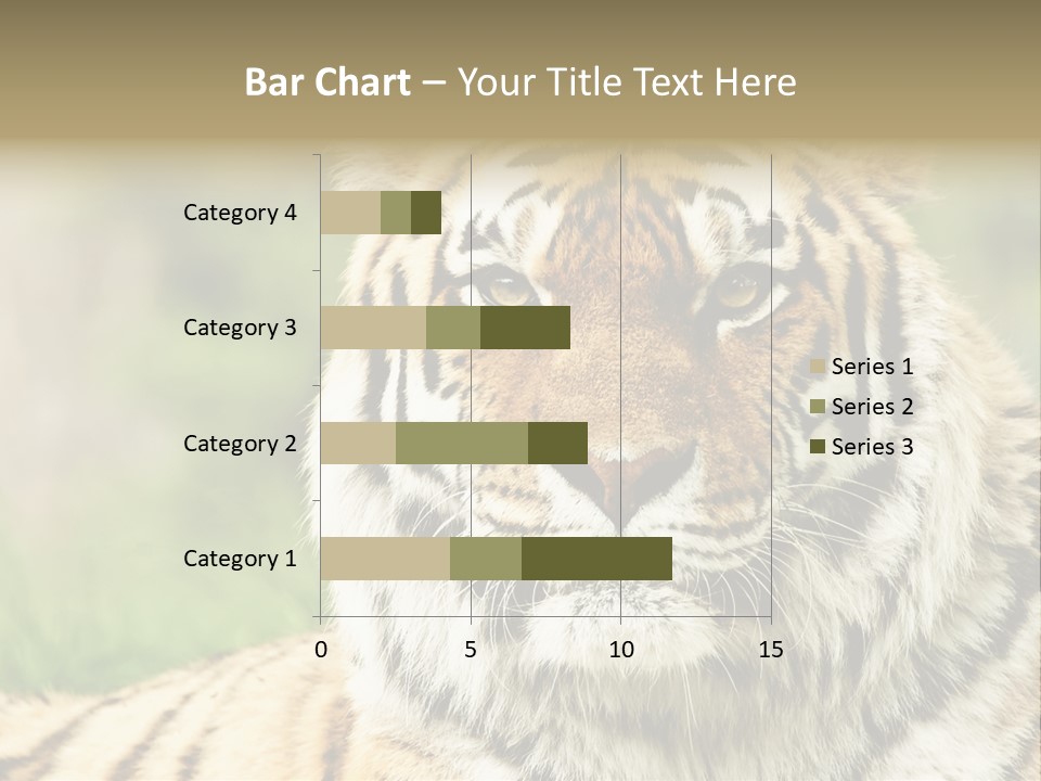 Paradise Park Broxbourne PowerPoint Template