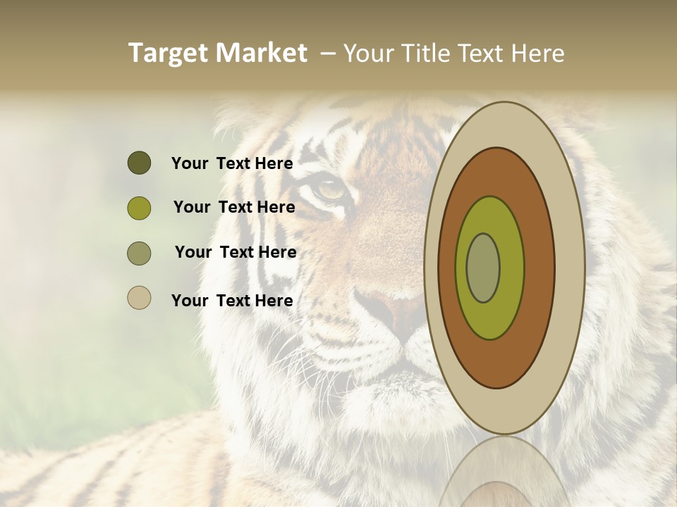 Paradise Park Broxbourne PowerPoint Template