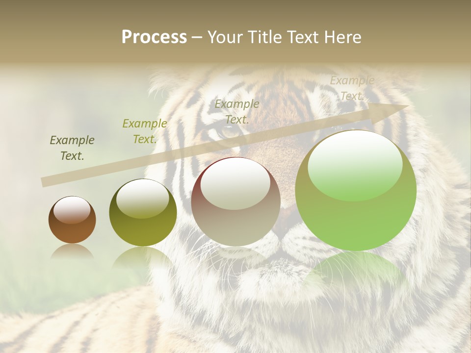 Paradise Park Broxbourne PowerPoint Template