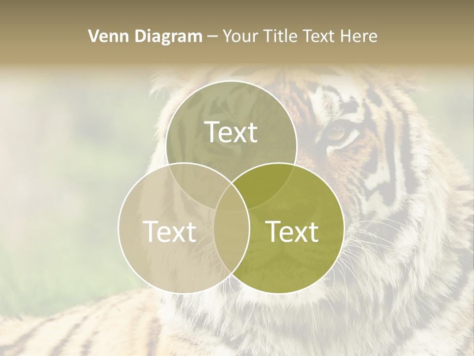 Paradise Park Broxbourne PowerPoint Template