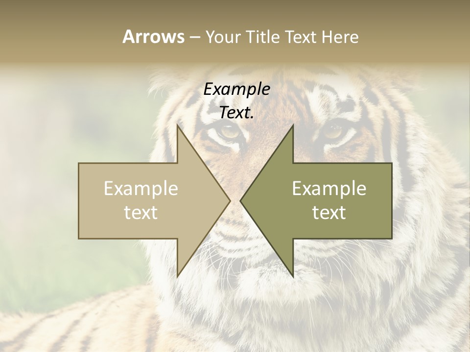 Paradise Park Broxbourne PowerPoint Template