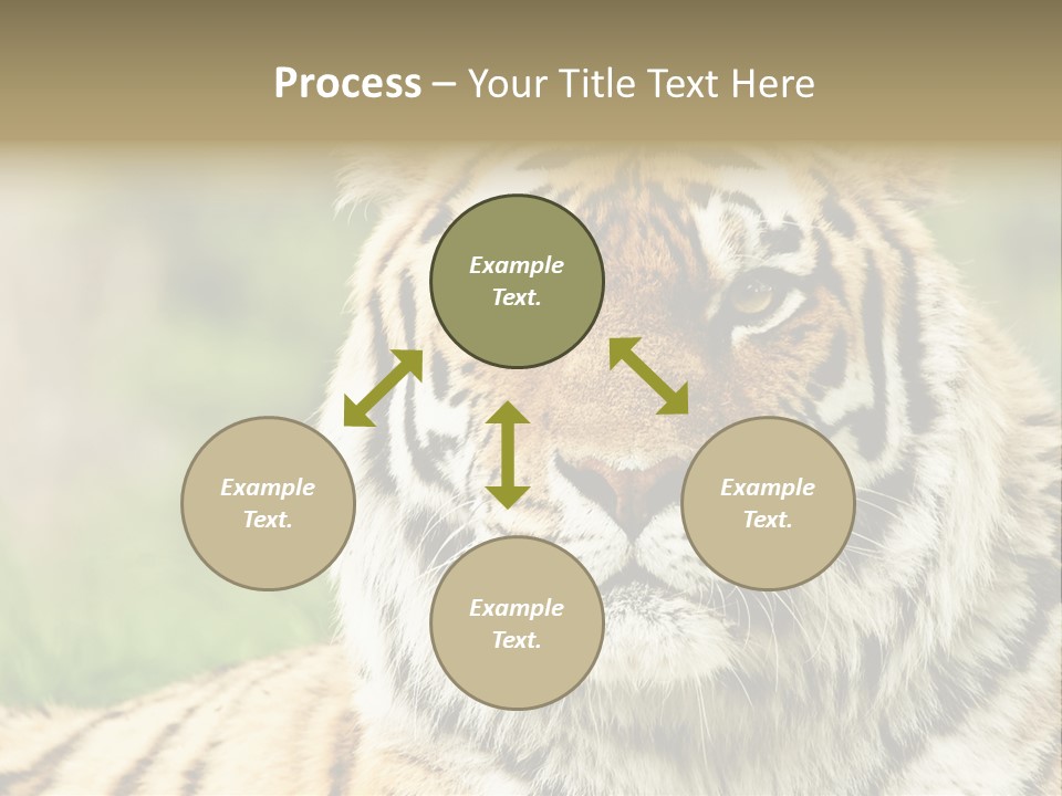Paradise Park Broxbourne PowerPoint Template