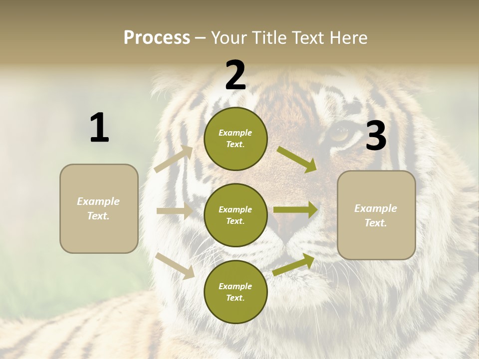 Paradise Park Broxbourne PowerPoint Template