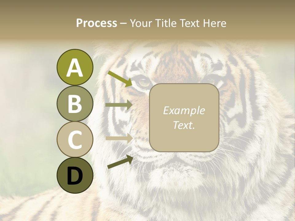 Paradise Park Broxbourne PowerPoint Template