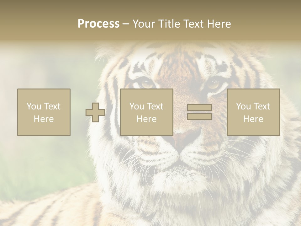 Paradise Park Broxbourne PowerPoint Template