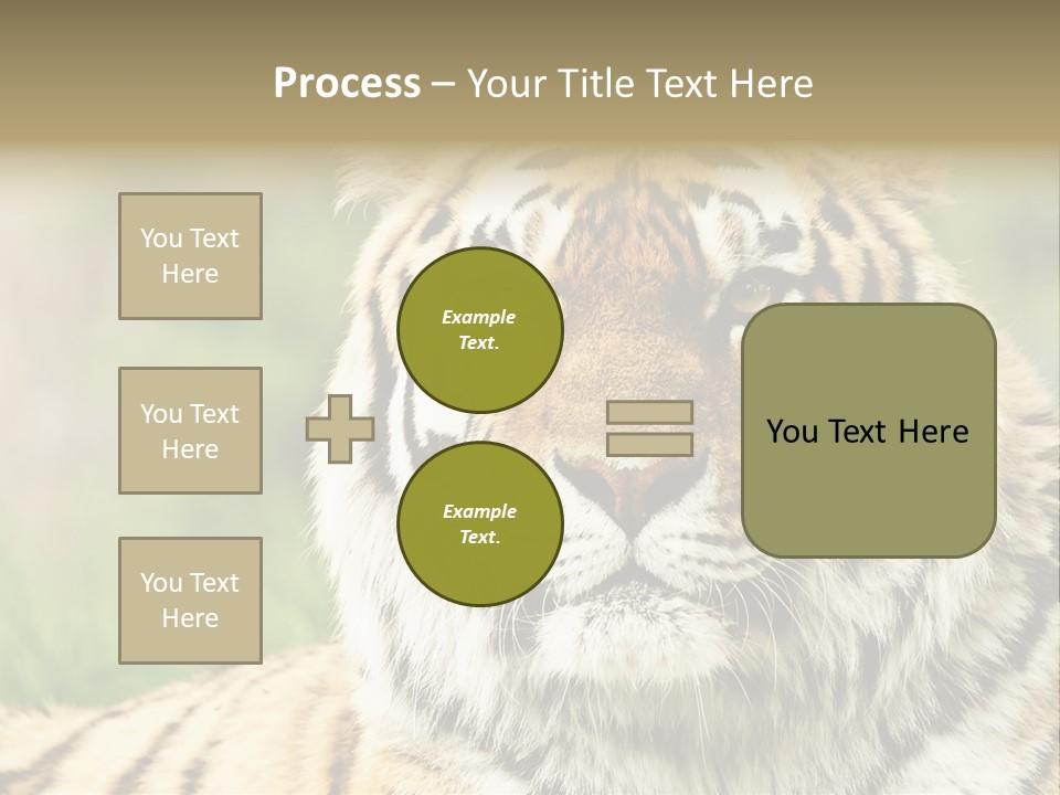 Paradise Park Broxbourne PowerPoint Template