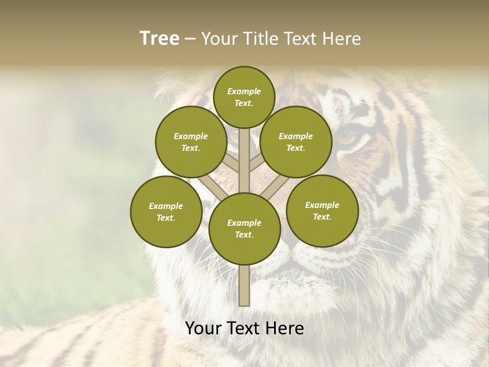 Paradise Park Broxbourne PowerPoint Template