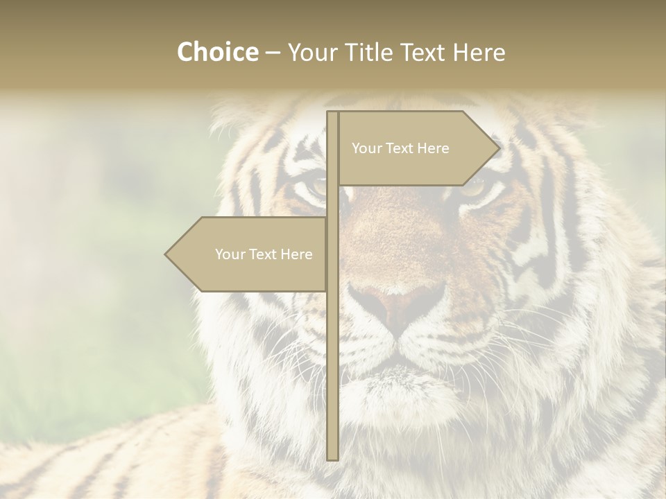 Paradise Park Broxbourne PowerPoint Template